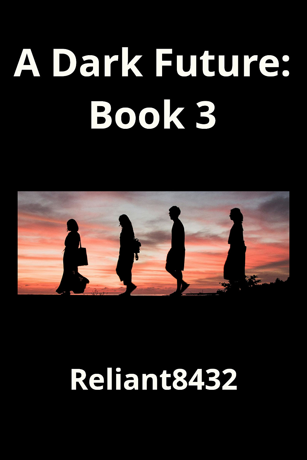 A Dark Future: Book 3 - Cover