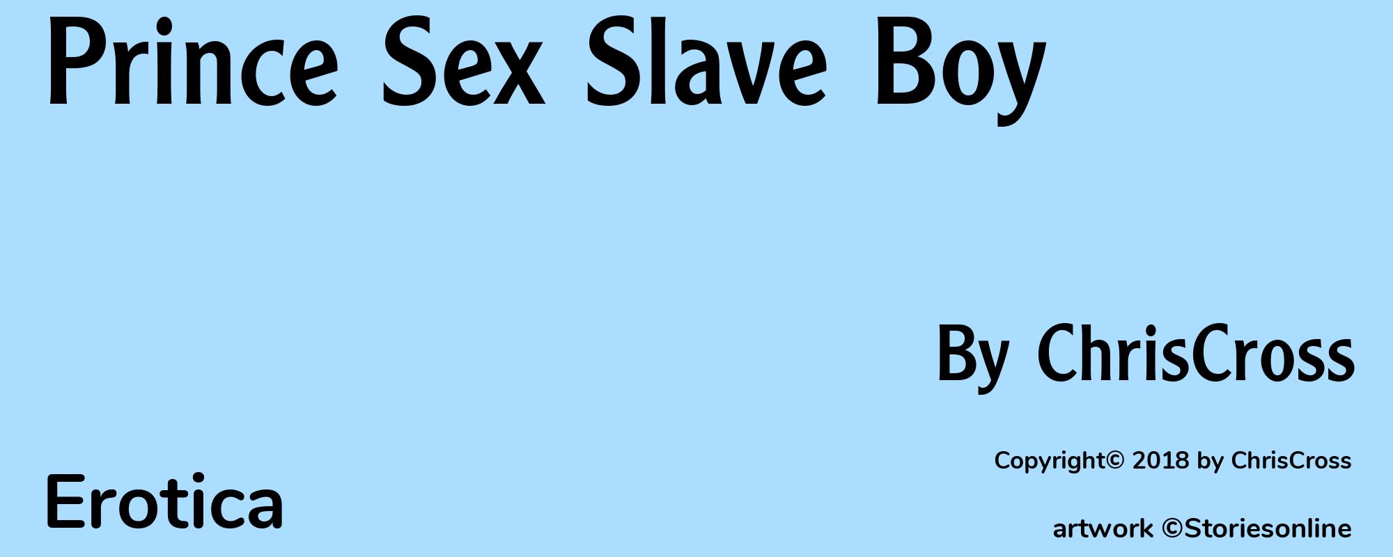Prince Sex Slave Boy - Cover