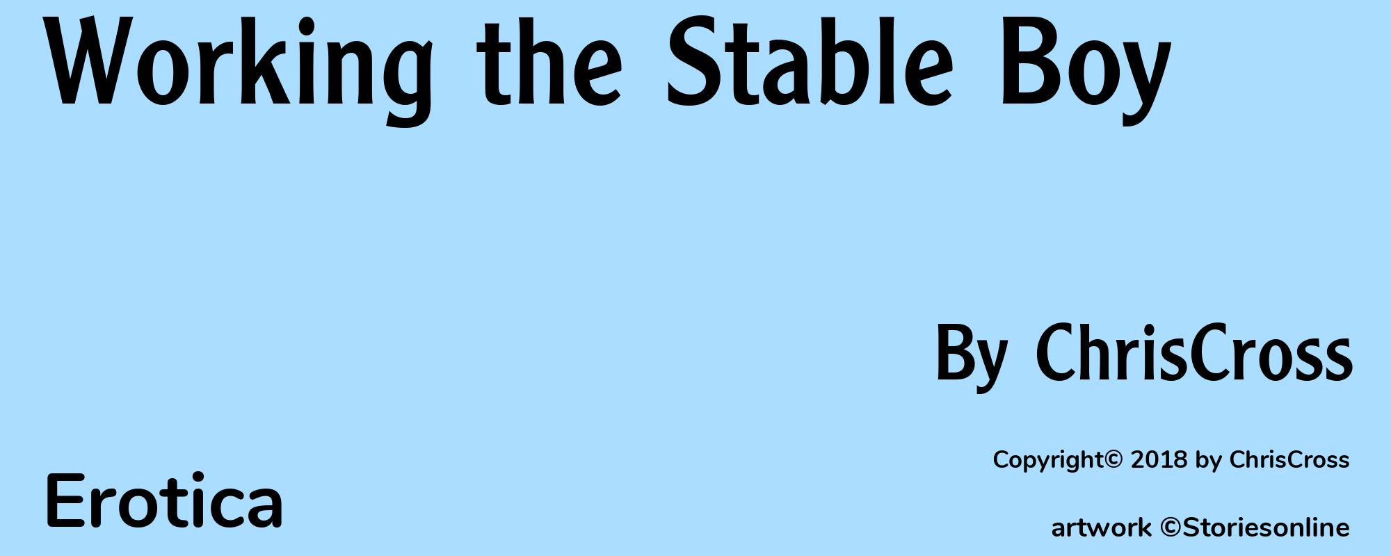 Working the Stable Boy - Cover