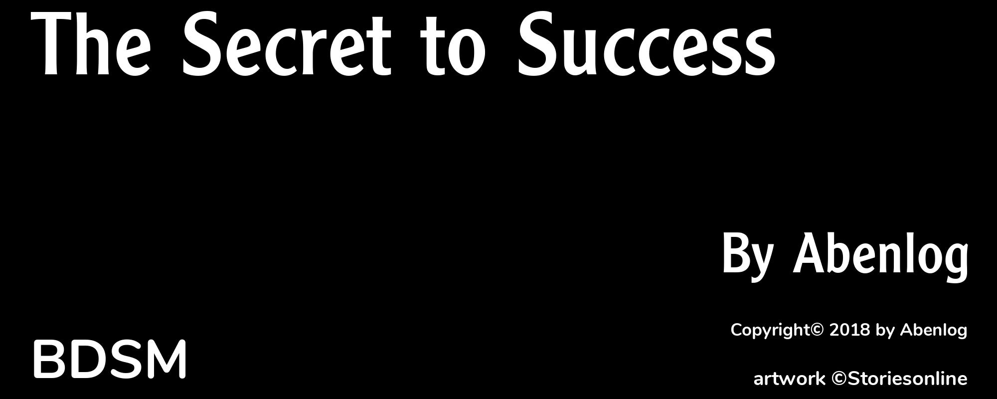 The Secret to Success - Cover