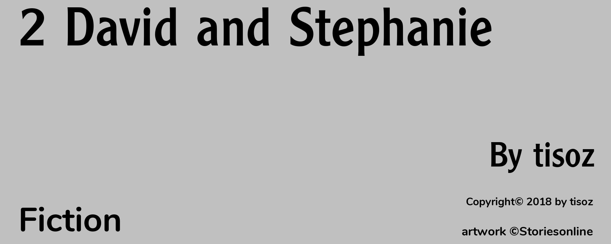 2 David and Stephanie - Cover