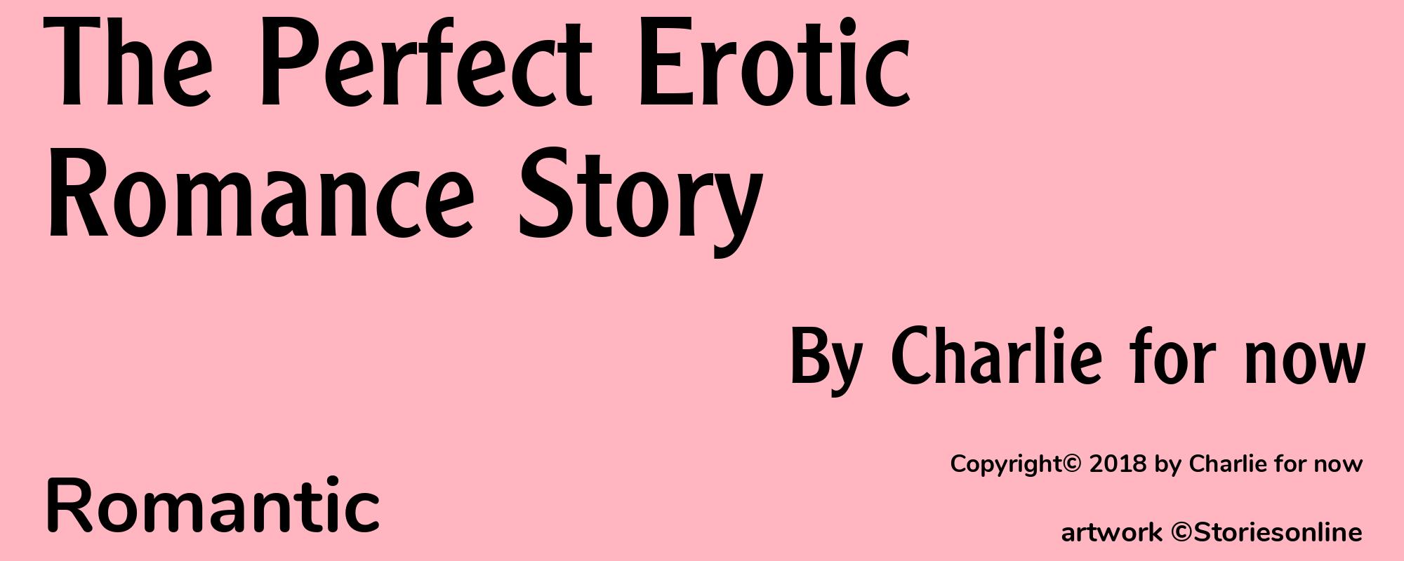 The Perfect Erotic Romance Story - Cover
