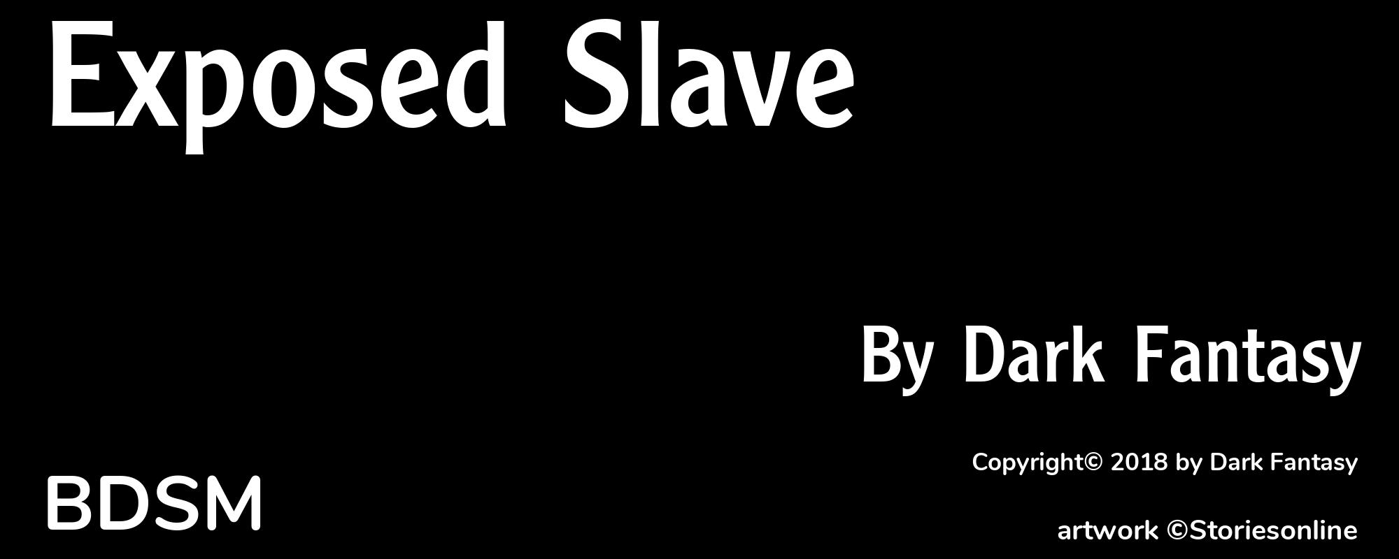 Exposed Slave - Cover