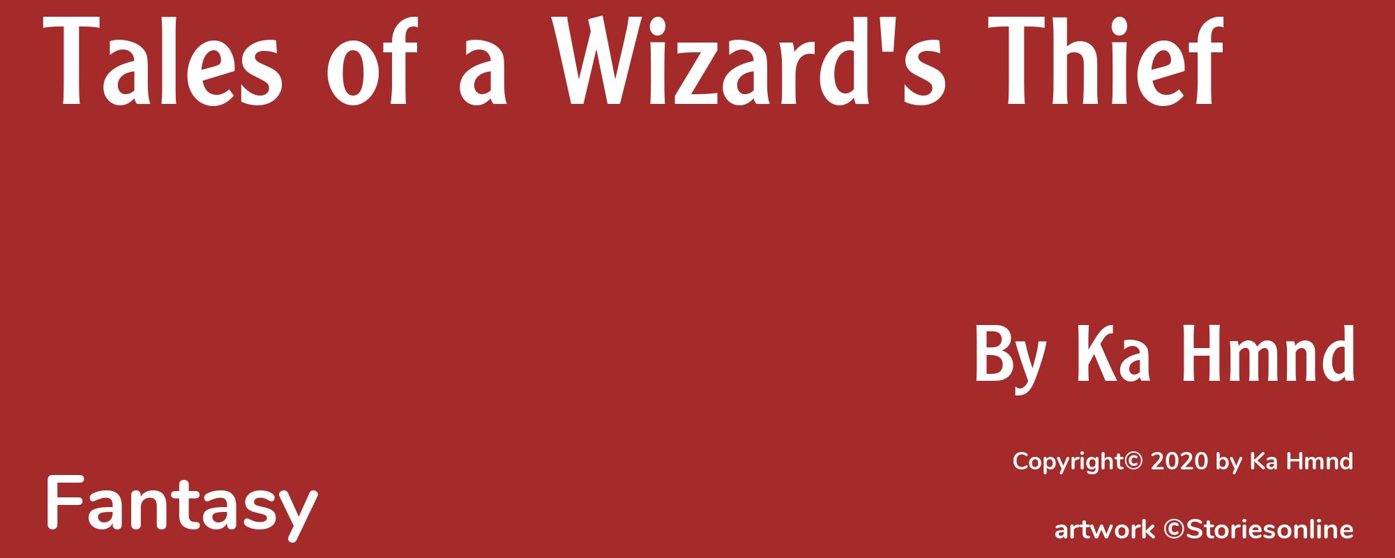 Tales of a Wizard's Thief - Cover