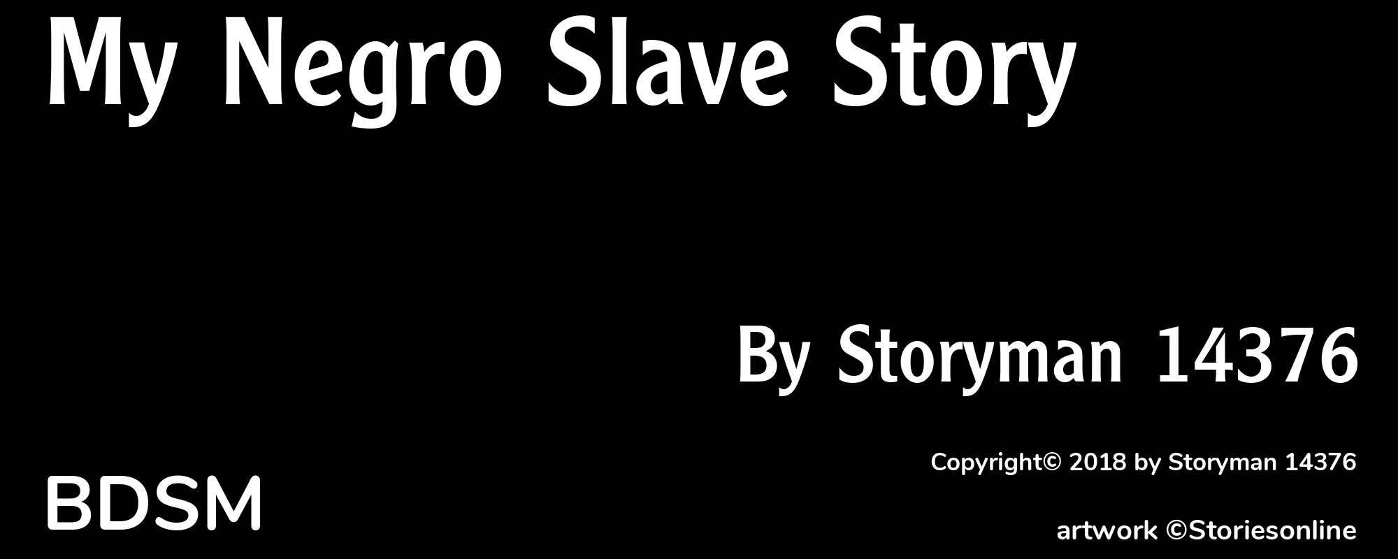 My Negro Slave Story - Cover