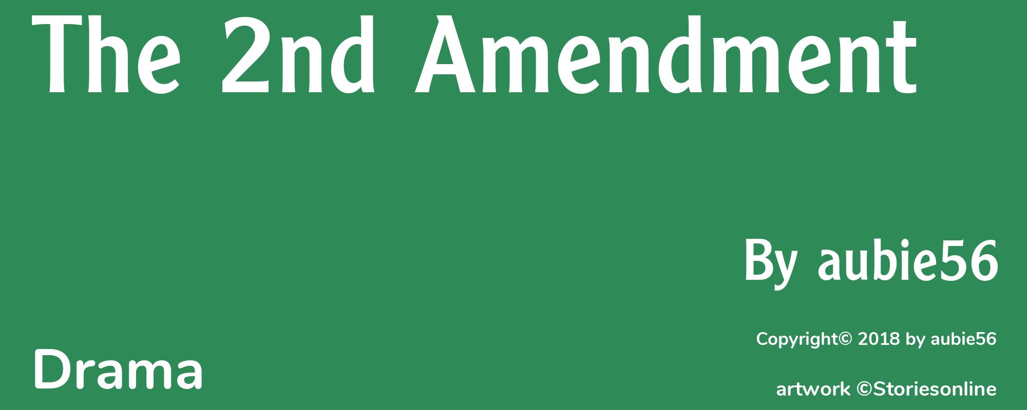 The 2nd Amendment - Cover