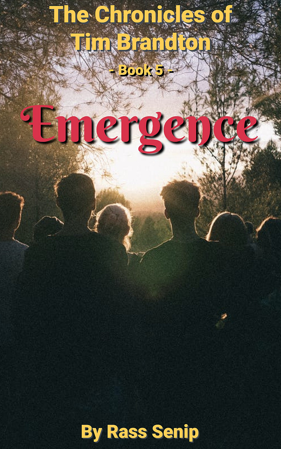 Emergence - Cover