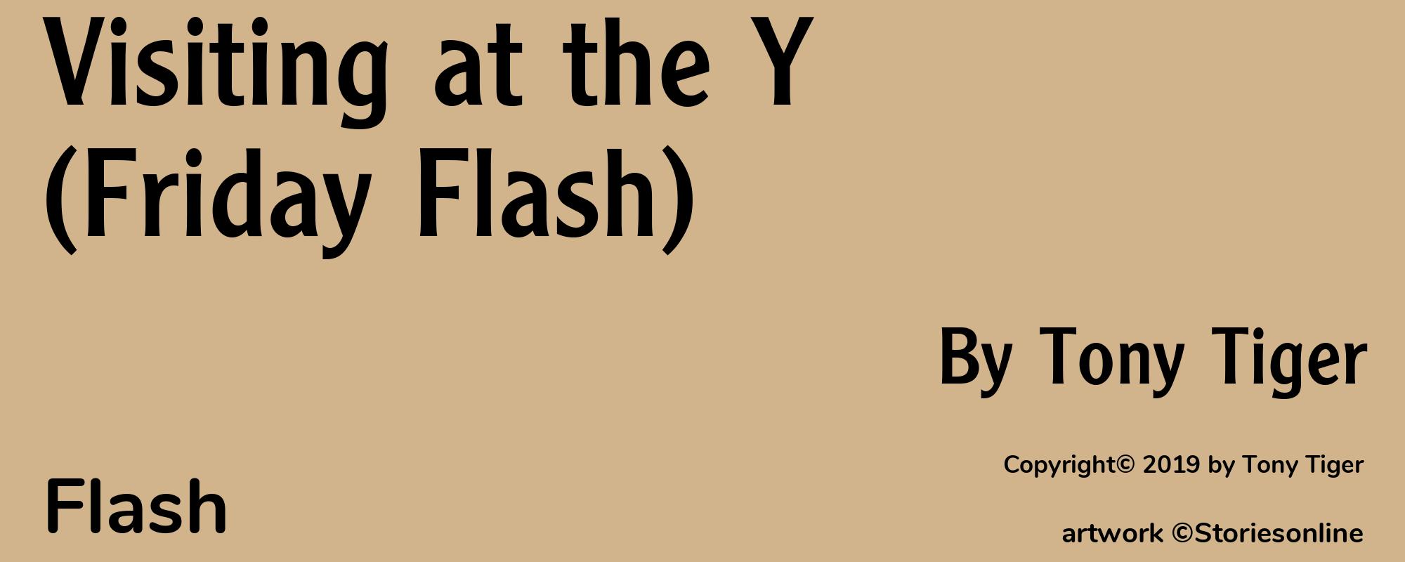 Visiting at the Y (Friday Flash) - Cover