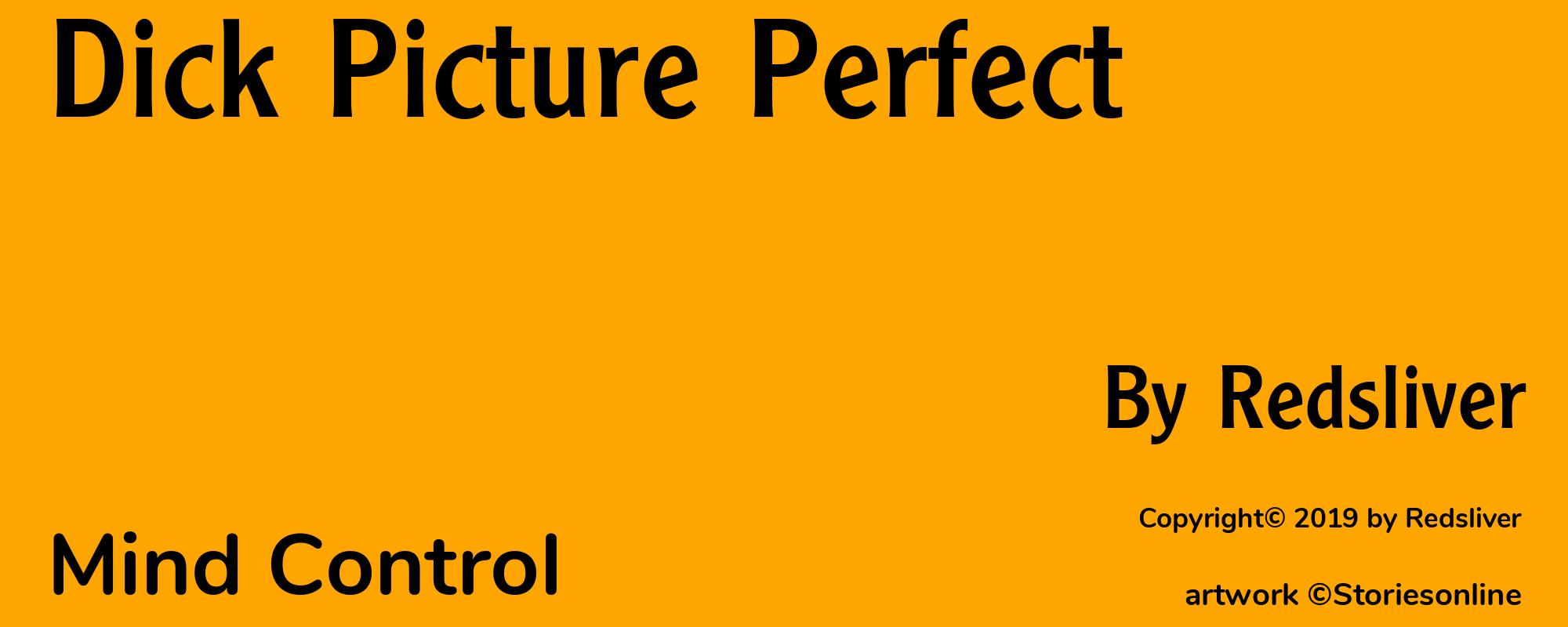 Dick Picture Perfect - Cover