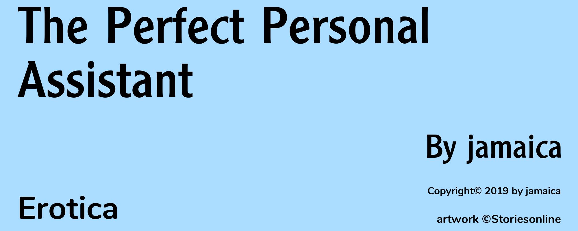 The Perfect Personal Assistant - Cover