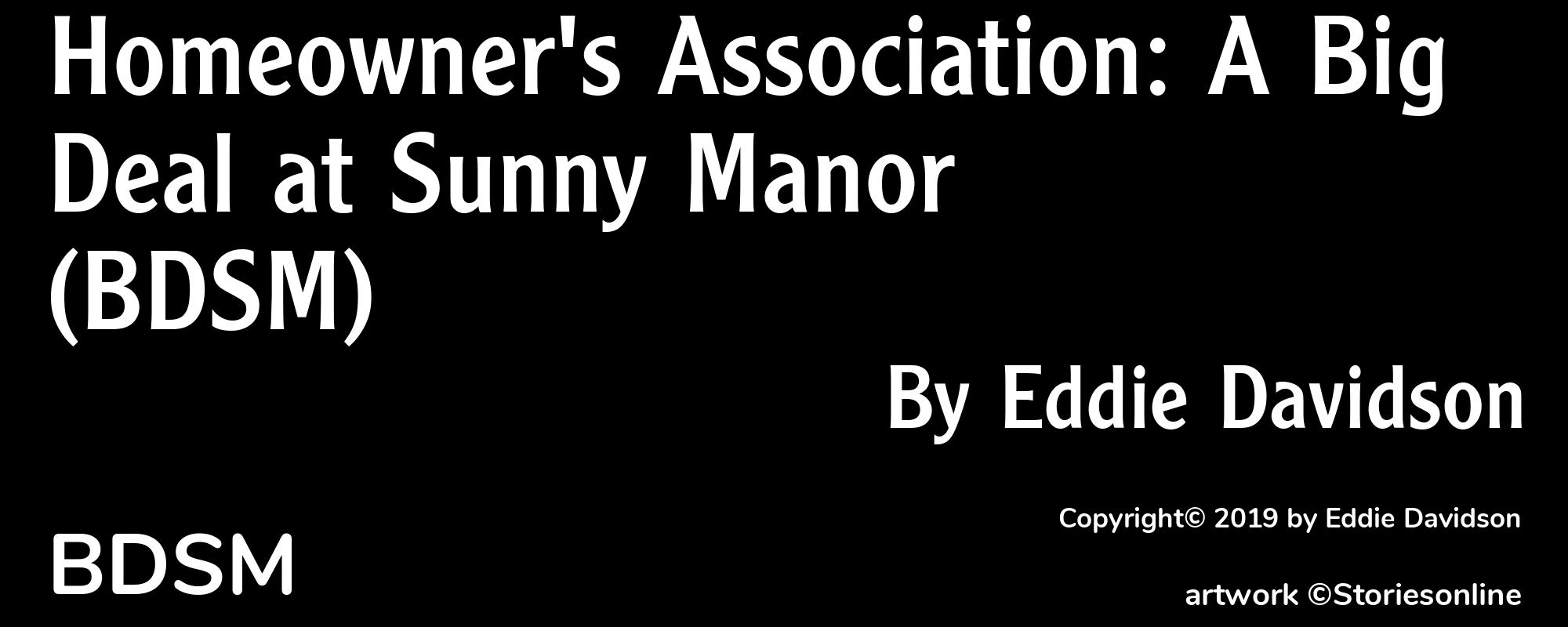 Homeowner's Association: A Big Deal at Sunny Manor (BDSM) - Cover