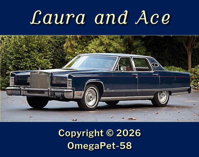 Laura and Ace - Cover