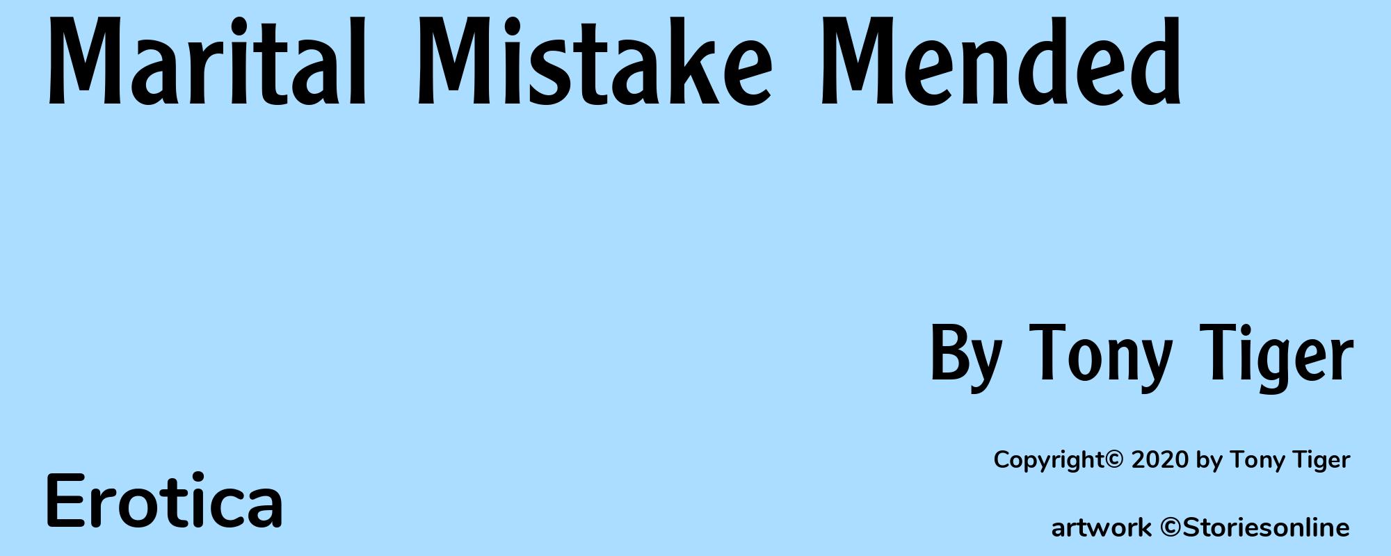 Marital Mistake Mended - Cover