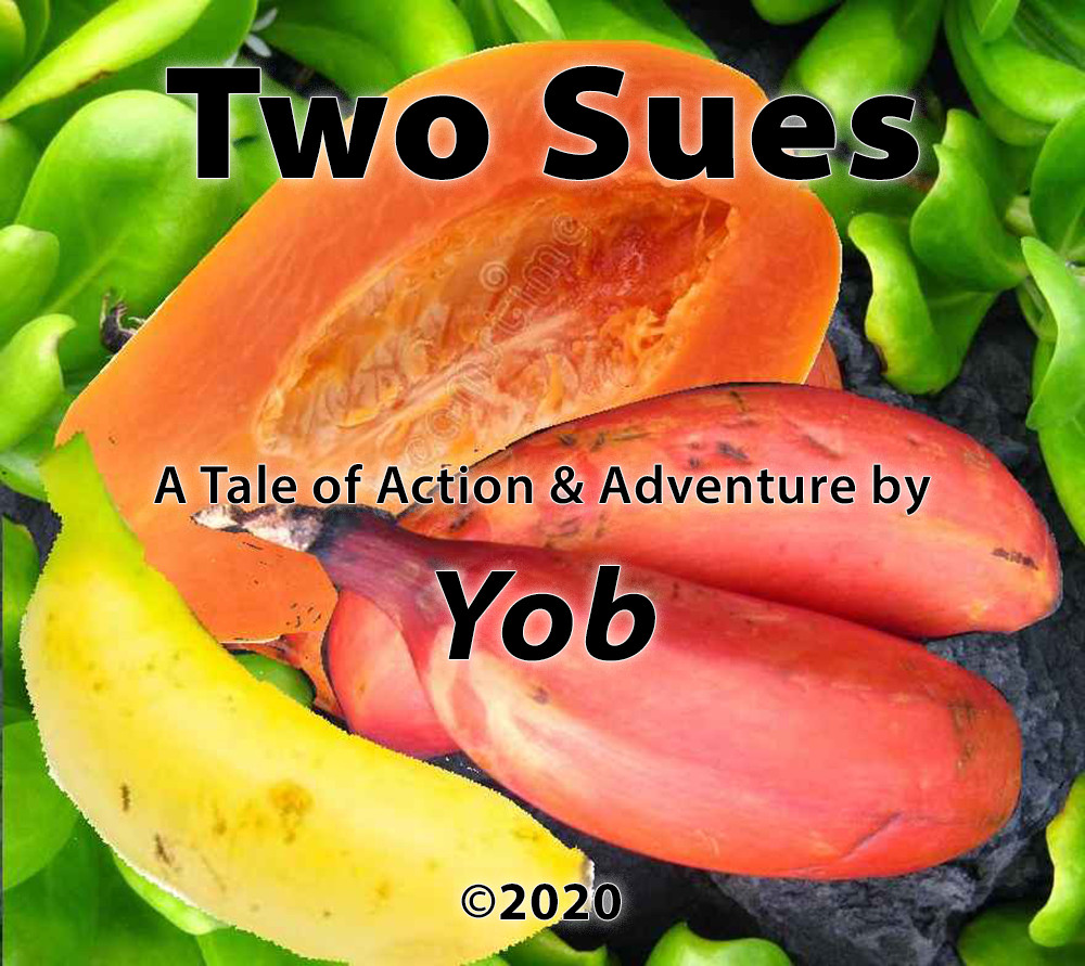 Two Sues - Cover