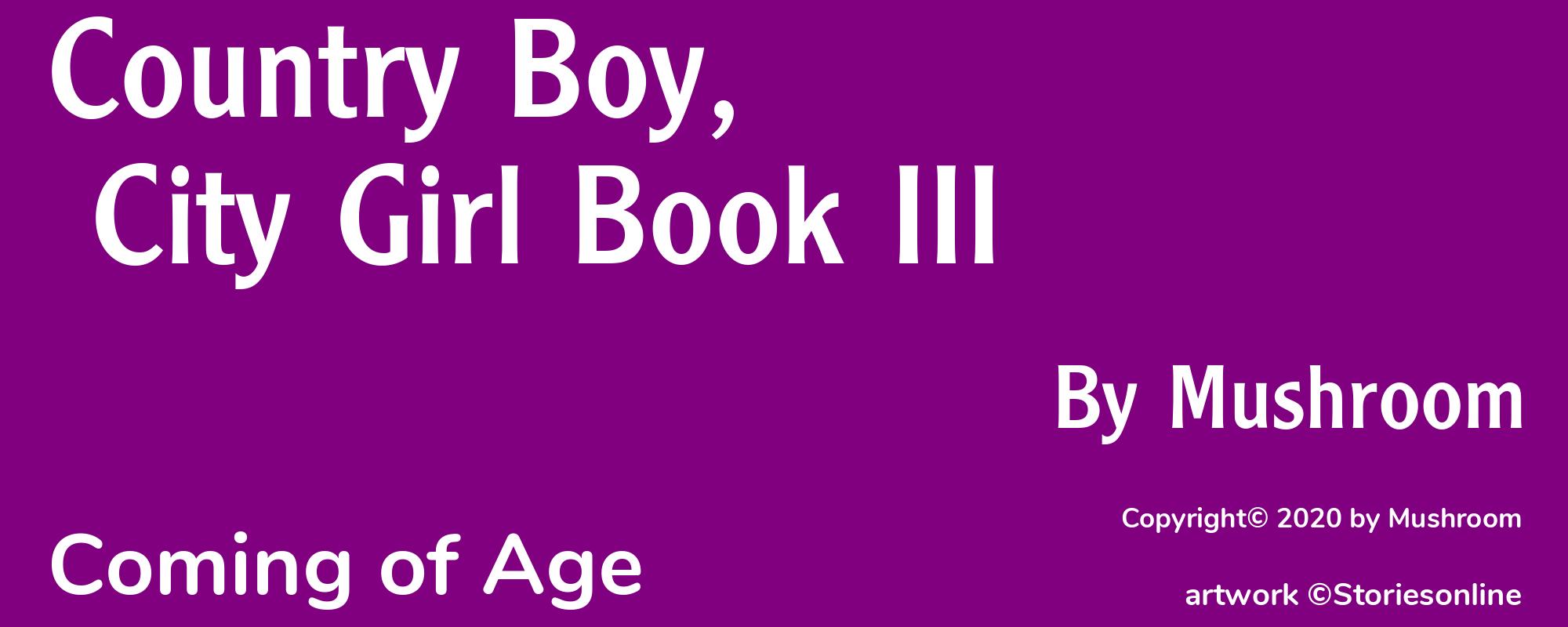 Country Boy, City Girl Book III - Cover