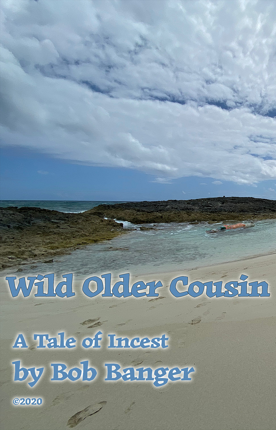 Wild Older Cousin - Cover