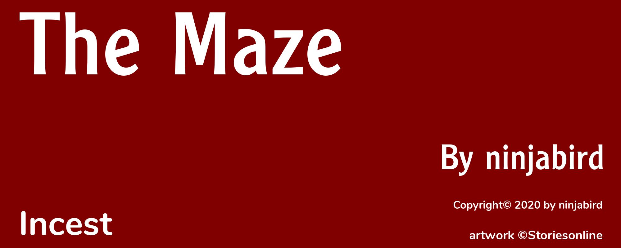 The Maze - Cover