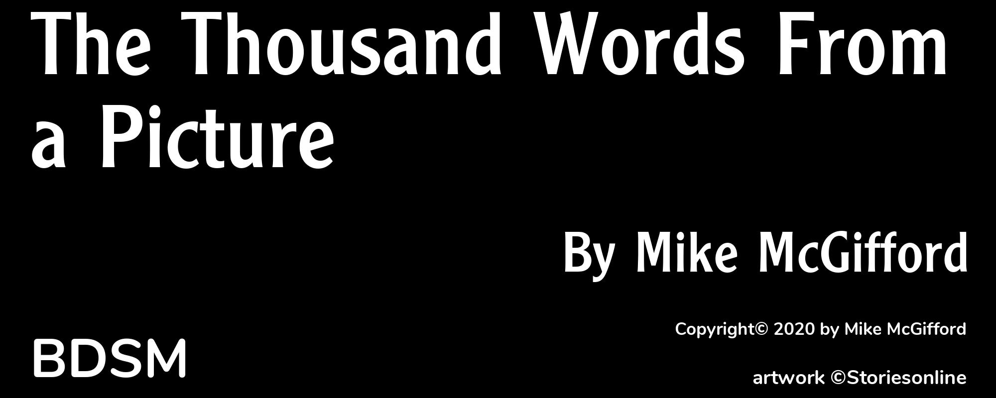 The Thousand Words From a Picture - Cover