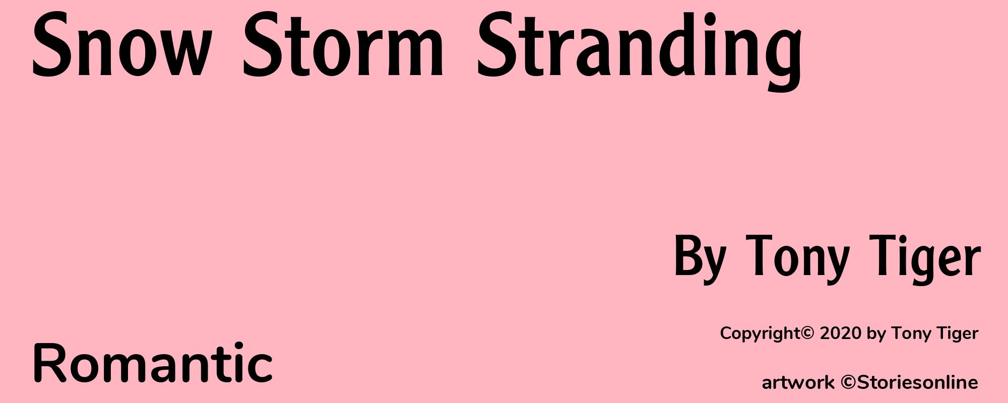 Snow Storm Stranding - Cover