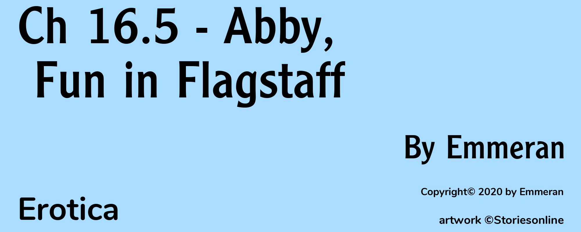 Ch 16.5 - Abby, Fun in Flagstaff - Cover