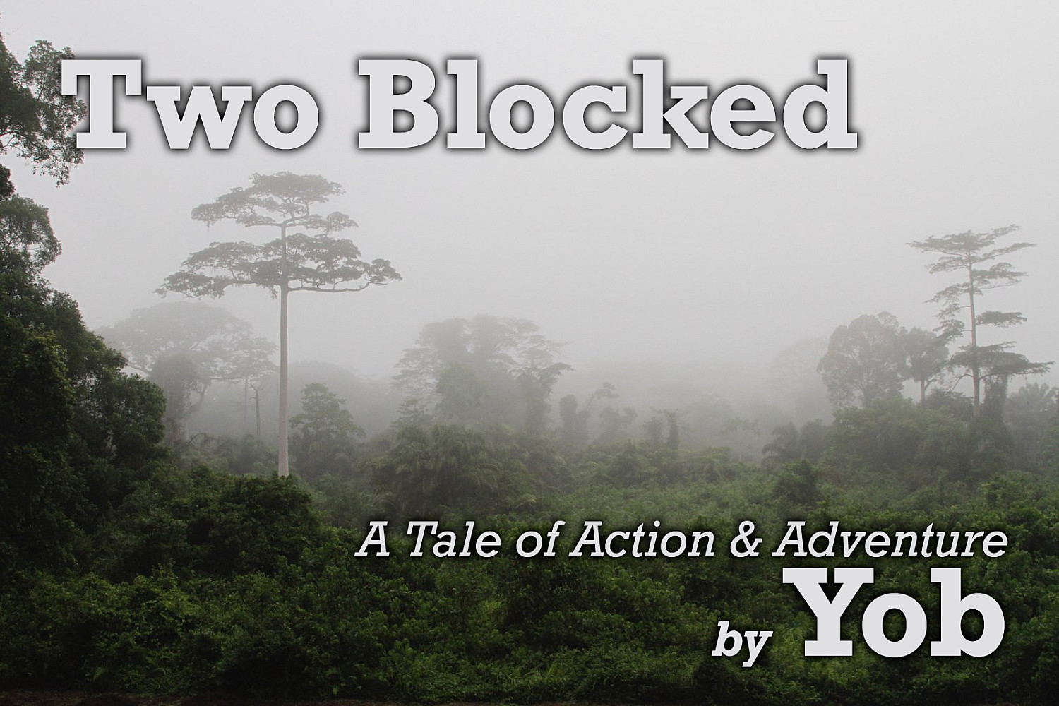 Two Blocked - Cover