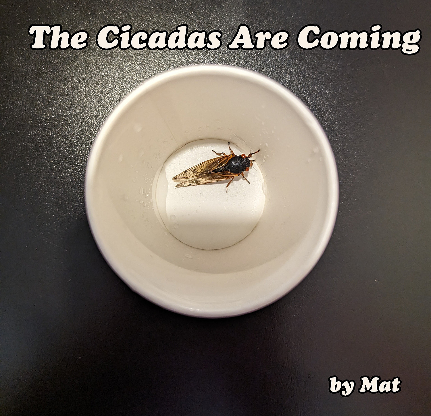 The Cicadas Are Coming - Cover