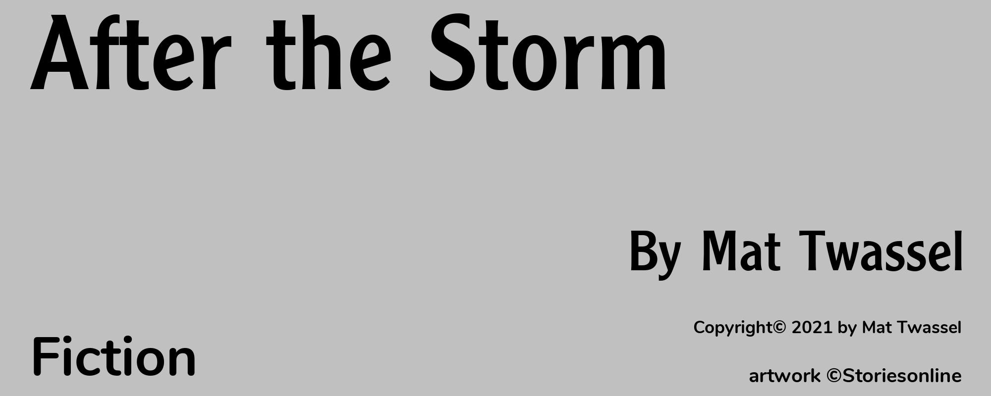 After the Storm - Cover