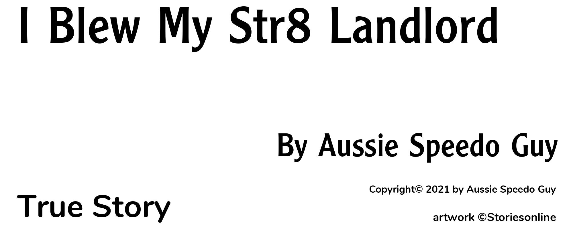 I Blew My Str8 Landlord - Cover