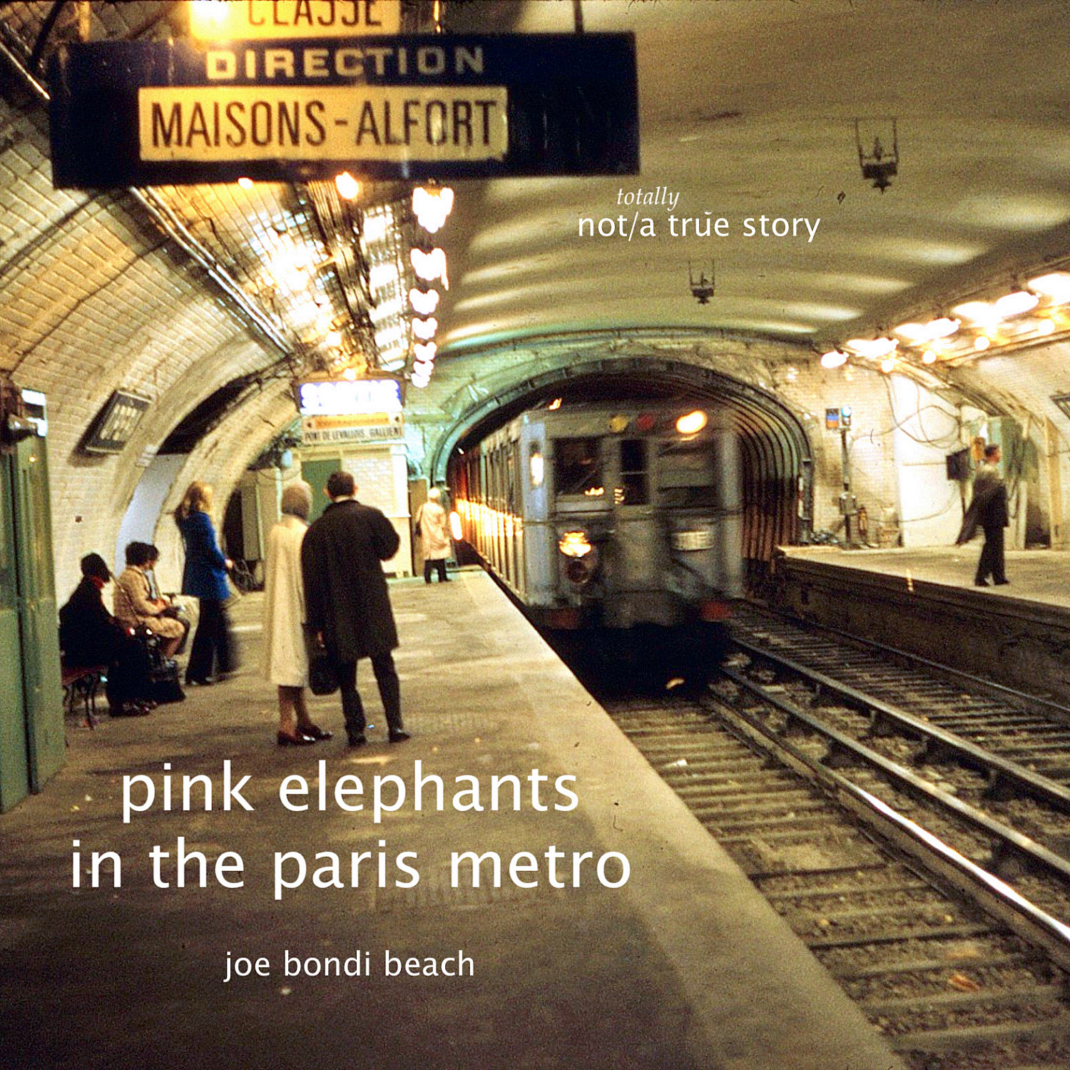 Pink Elephants in the Paris Metro - Cover