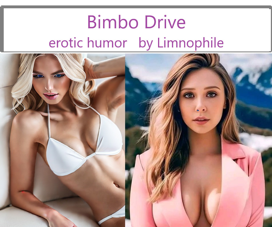 Bimbo Drive - Cover