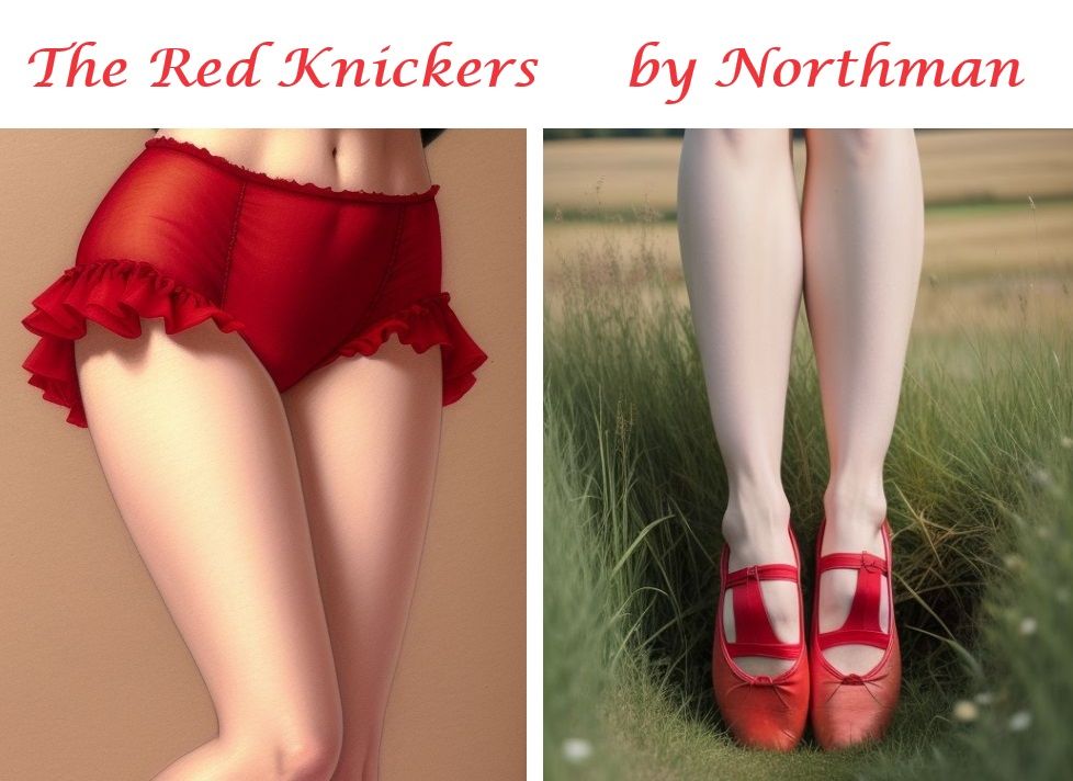 The Red Knickers - Cover
