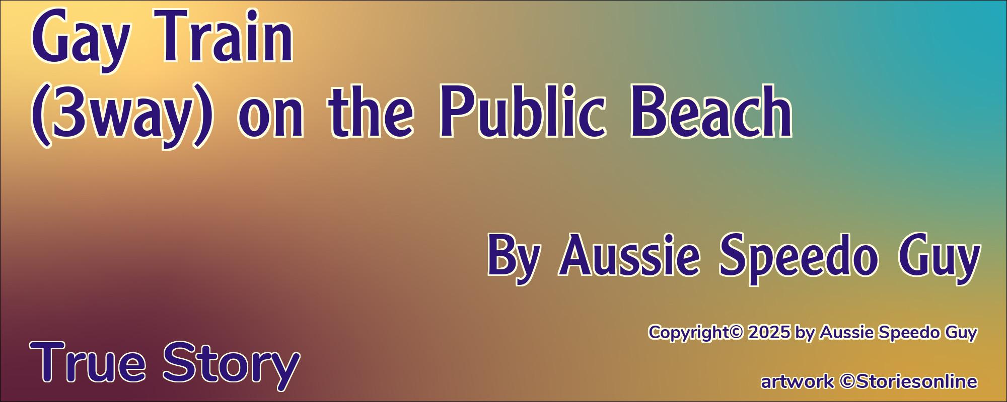 Gay Train (3way) on the Public Beach - Cover