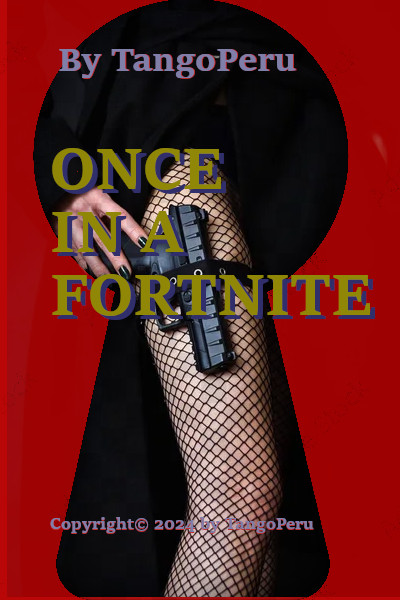 Once in a Fortnite - Cover