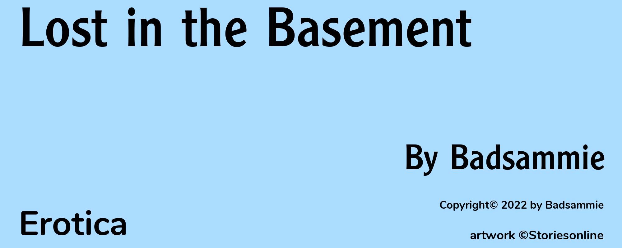 Lost in the Basement - Cover