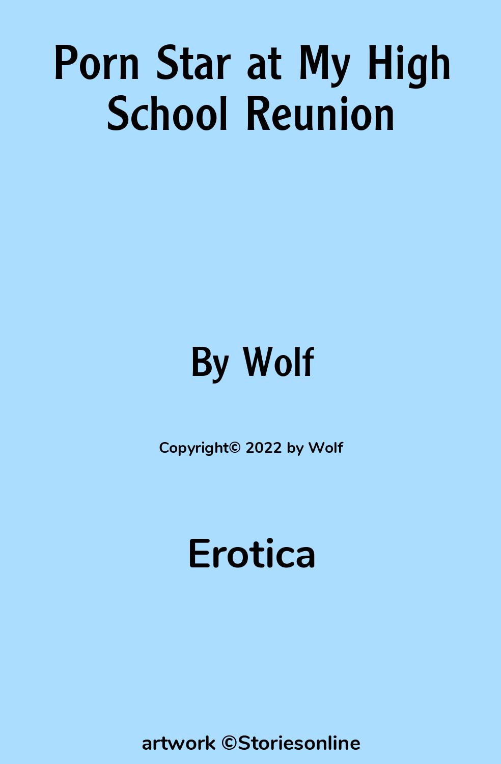 Erotica Sex Story: Porn Star at My High School Reunion: Chapter 1: The  Reunion by Wolf