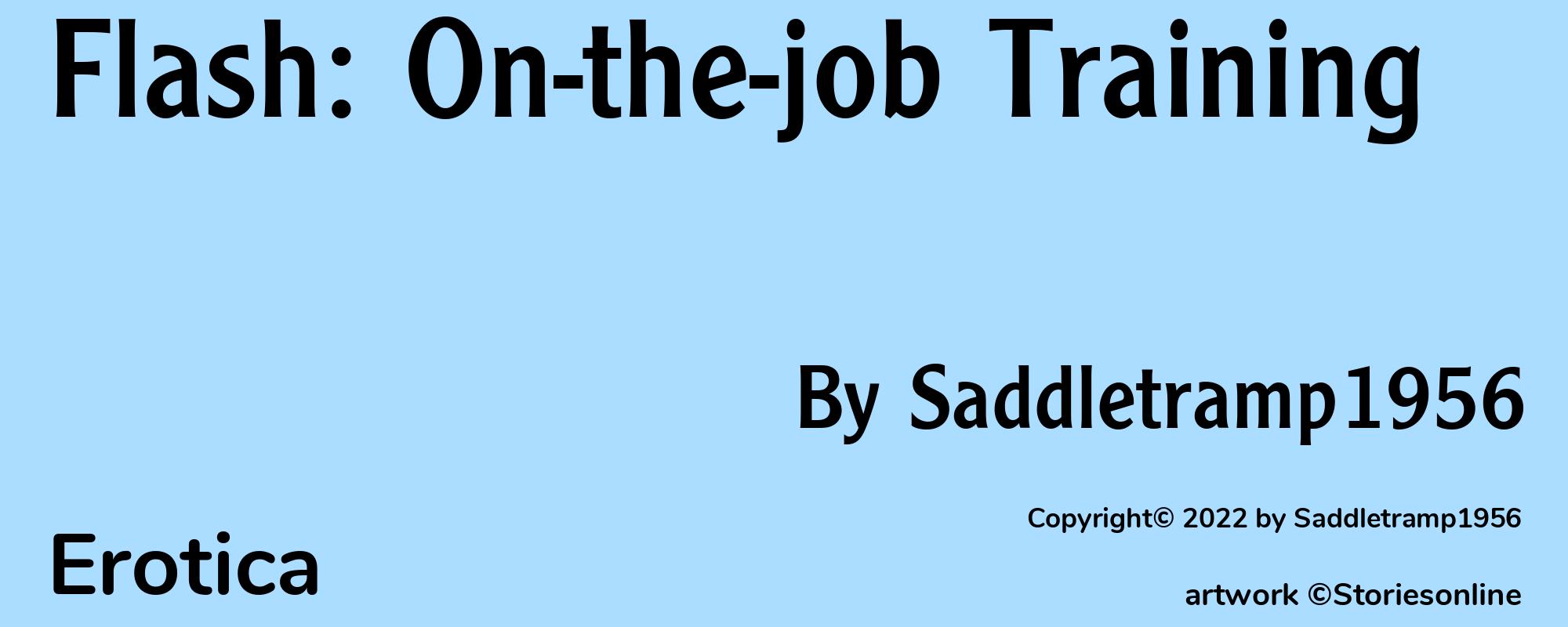 Flash: On-the-job Training - Cover