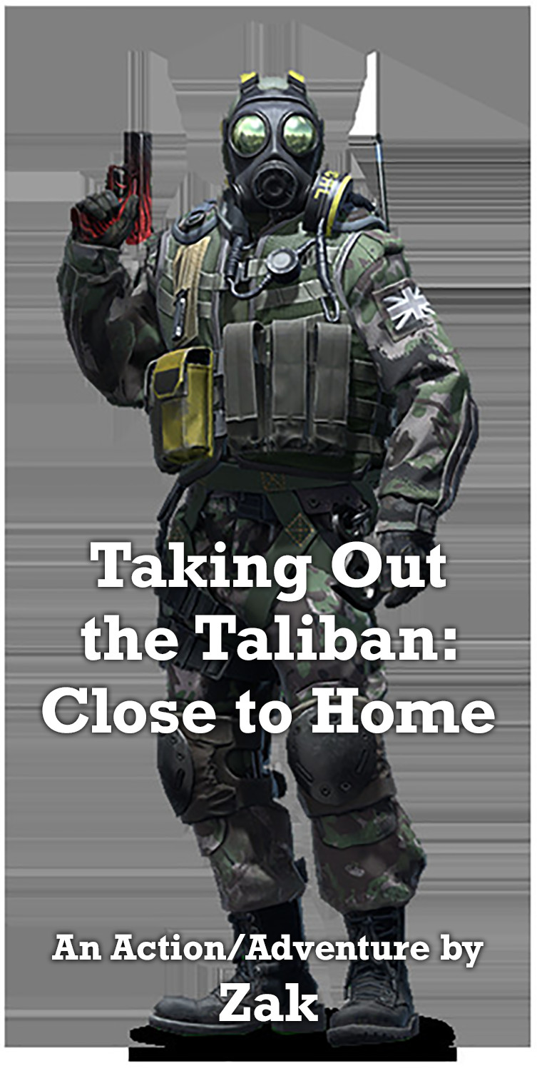 Taking Out the Taliban: Close to Home - Cover