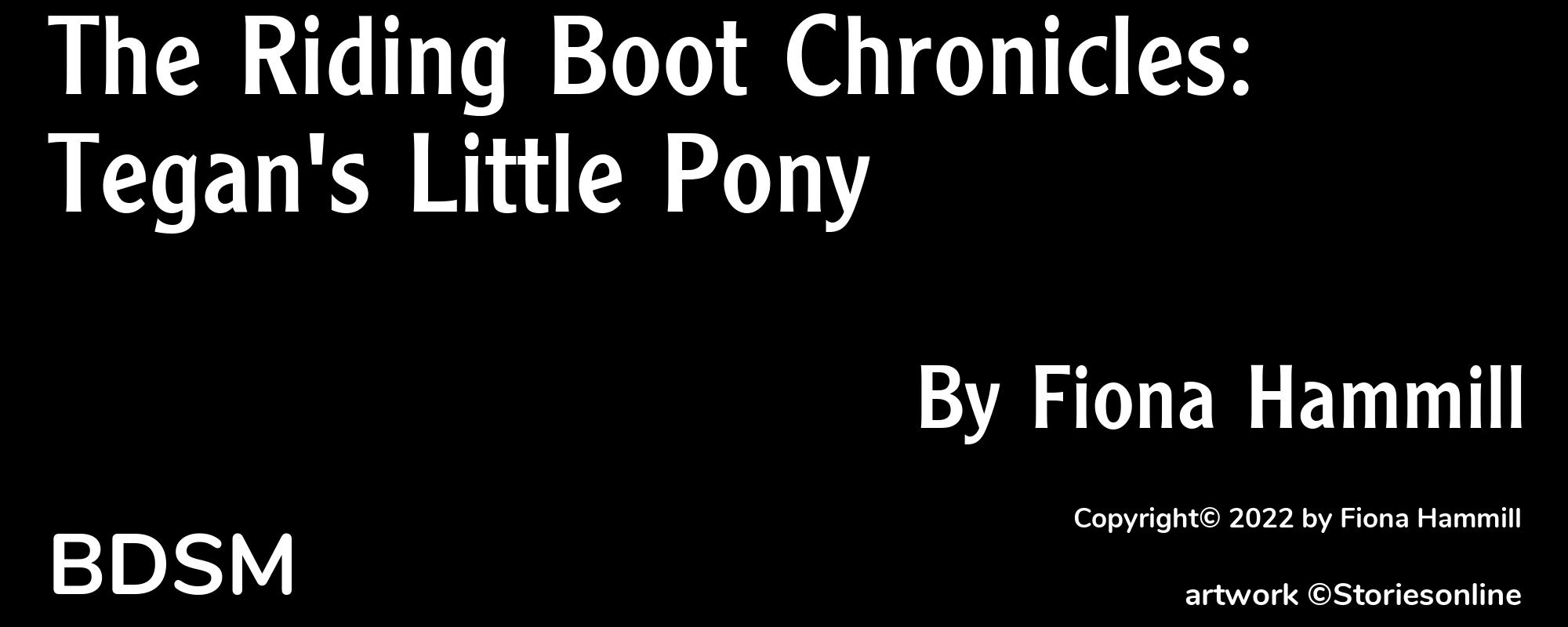 The Riding Boot Chronicles: Tegan's Little Pony - Cover