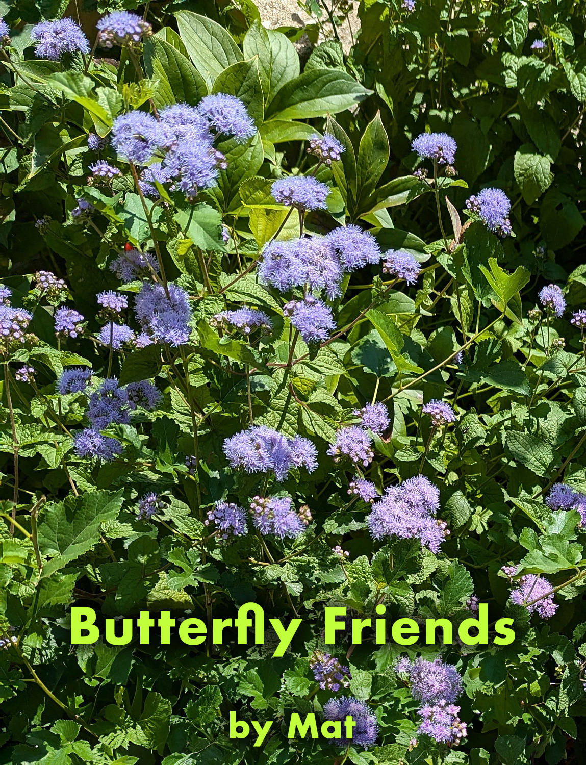 Butterfly Friends - Cover