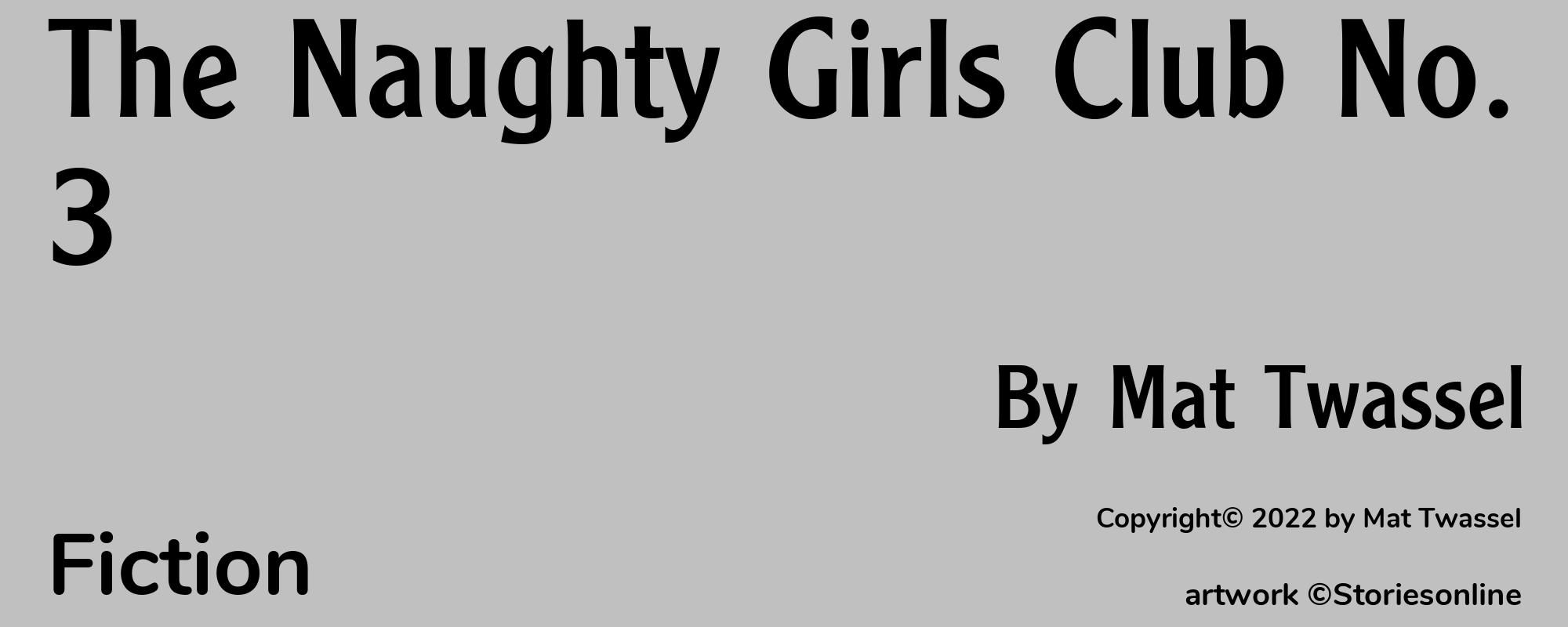 The Naughty Girls Club No. 3 - Cover