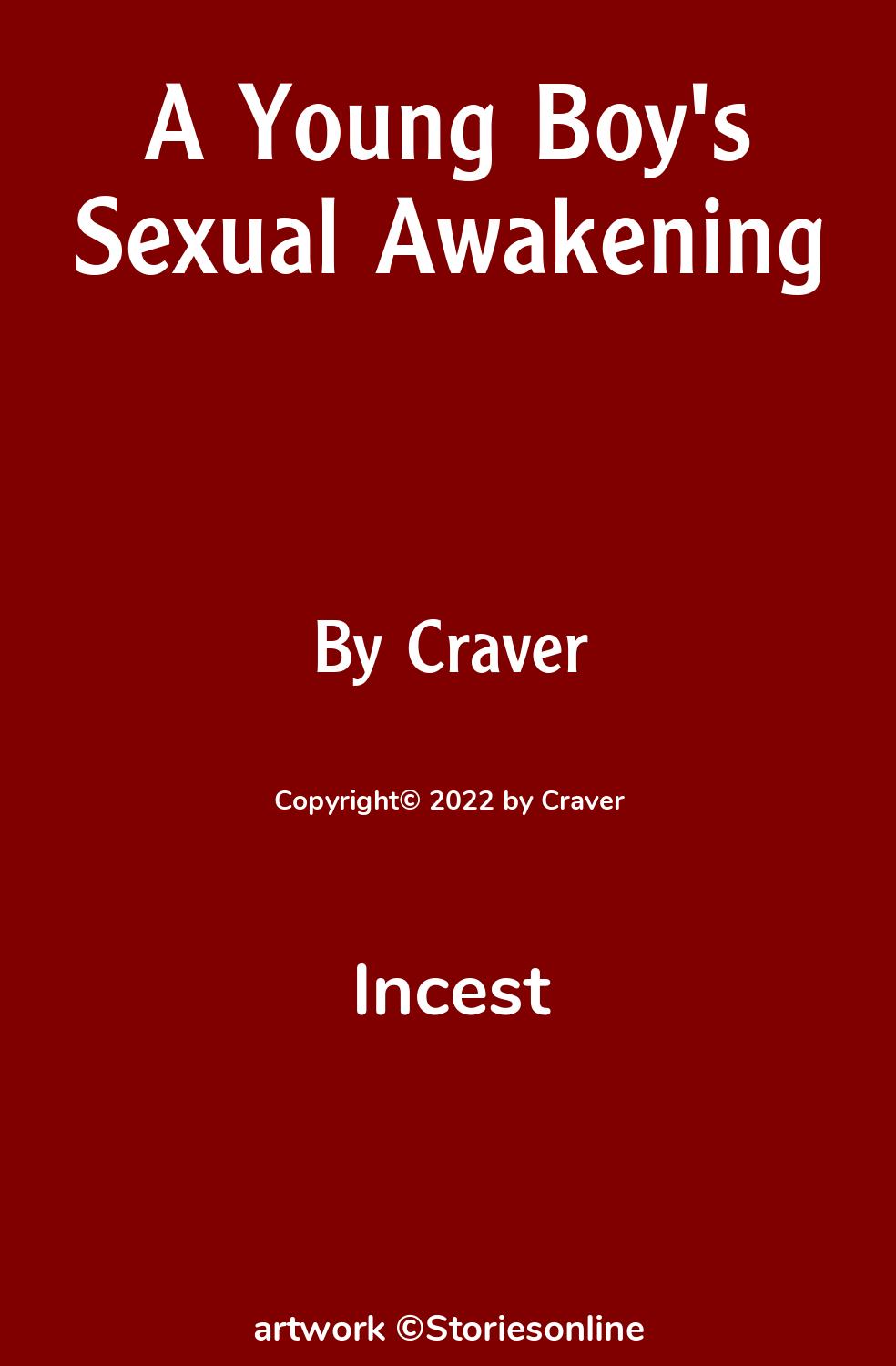 A Young Boy s Sexual Awakening Incest Sex Story 