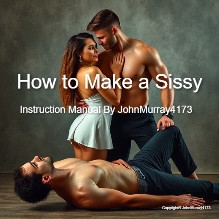 How to Make a Sissy - Cover