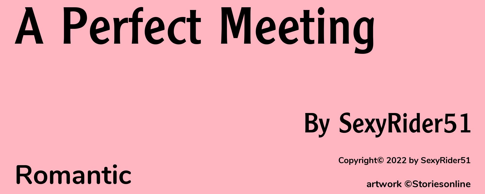 A Perfect Meeting - Cover