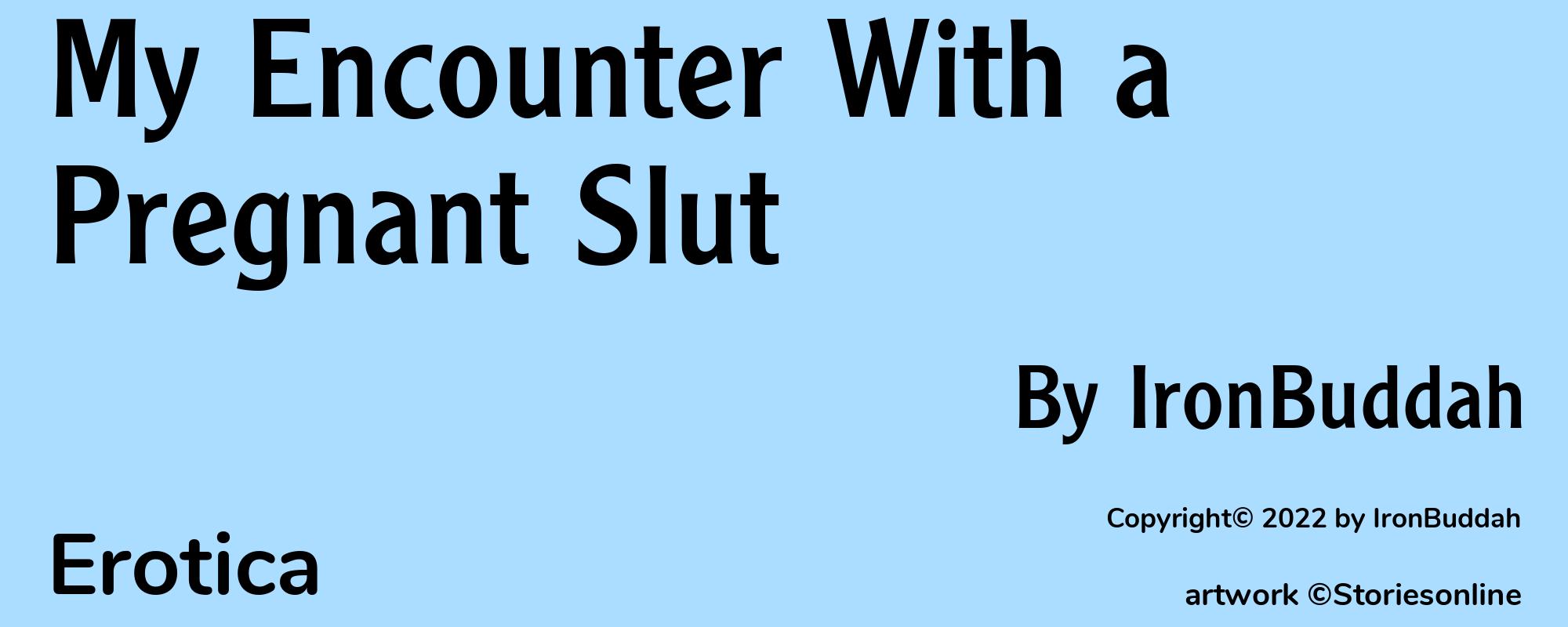 My Encounter With a Pregnant Slut - Cover