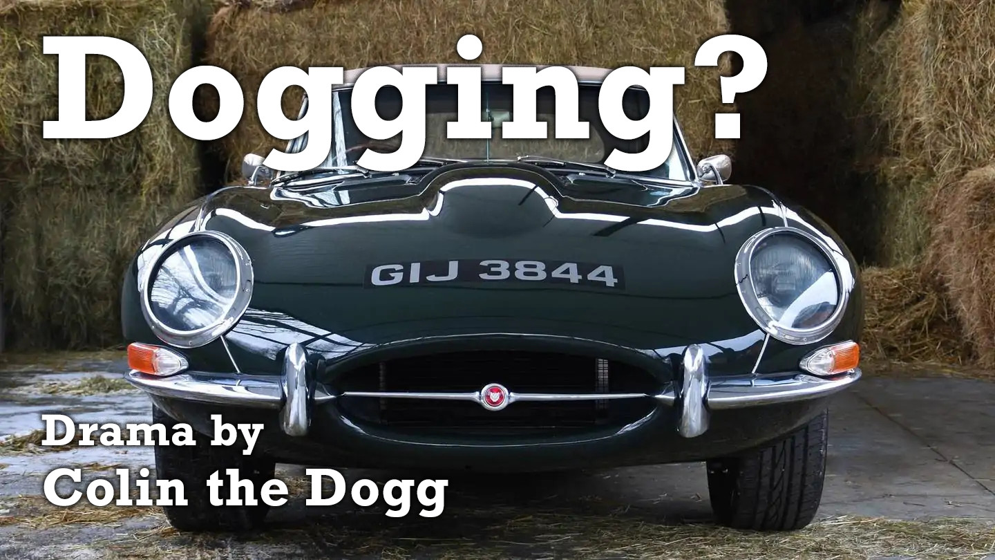 Dogging? - Cover