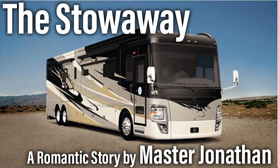 The Stowaway - Cover