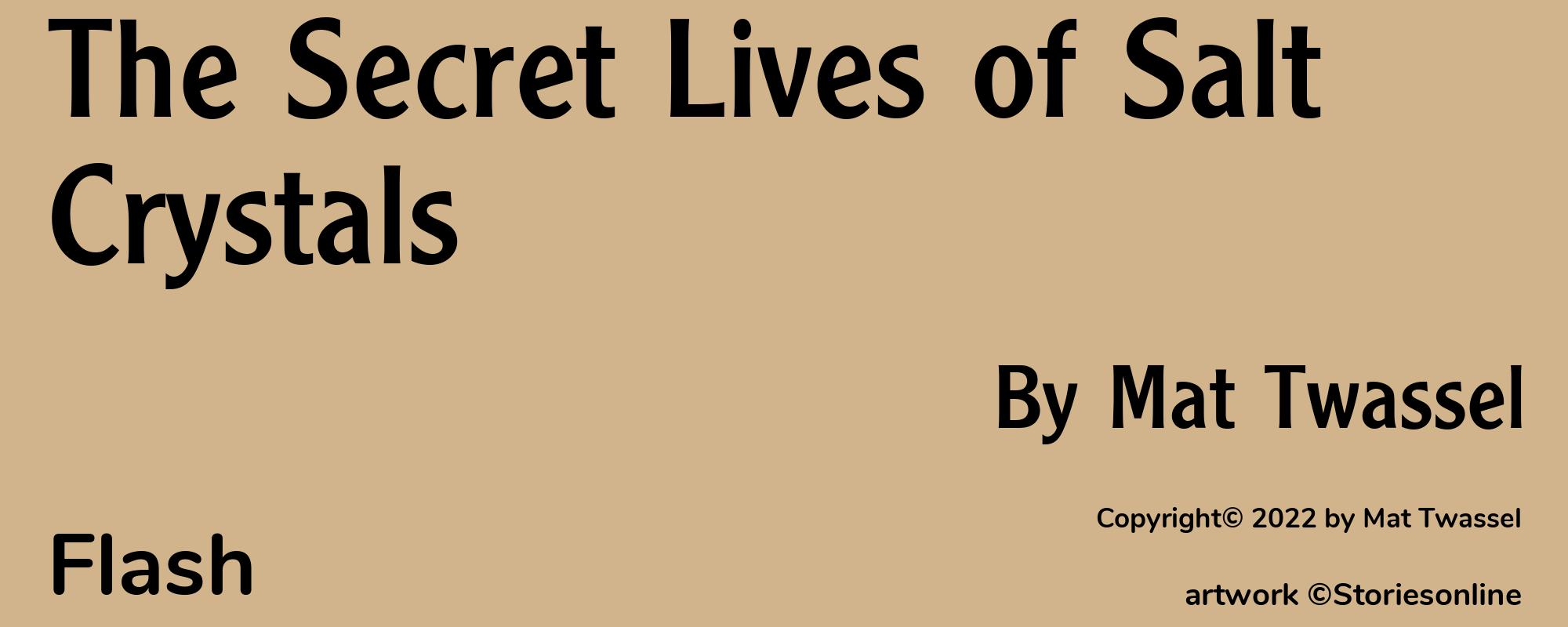 The Secret Lives of Salt Crystals - Cover