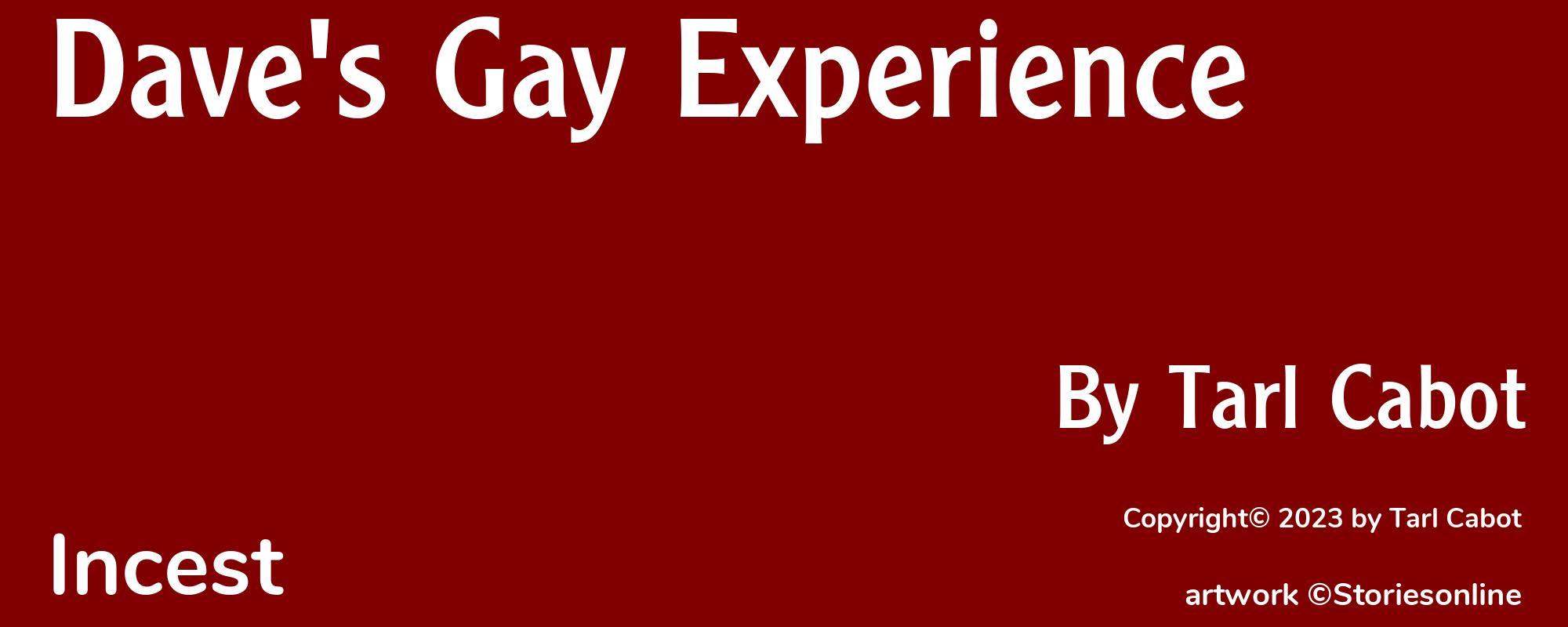 Dave's Gay Experience - Cover