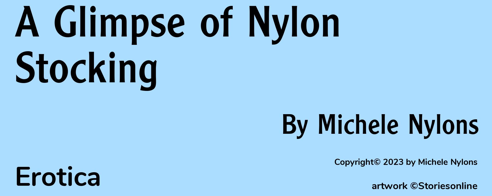 A Glimpse of Nylon Stocking - Cover