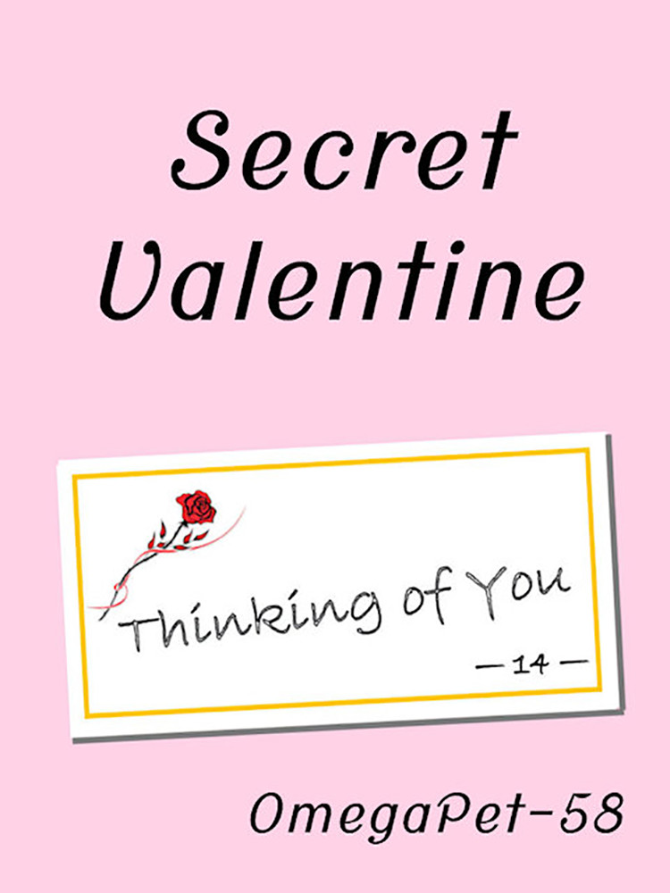 Secret Valentine - Cover